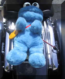 /files/includes/images/bungeetabs_cookie.jpg (90358 bytes)