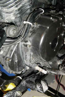 /files/includes/images/cc_vaclinerun.jpg (100660 bytes)